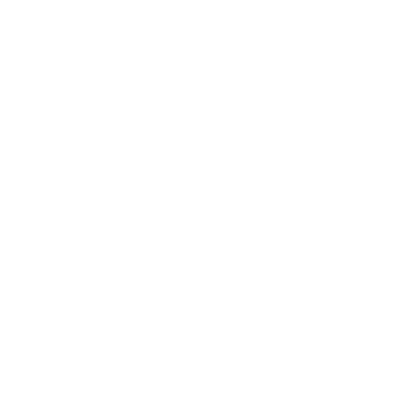 Southeast Sheds logo white